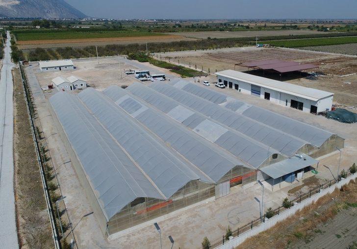 Büyükşehir, 250 bin metrekare peyzaj çalışması yapacak G1