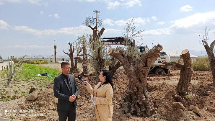 Büyükşehir, 250 bin metrekare peyzaj çalışması yapacak G2