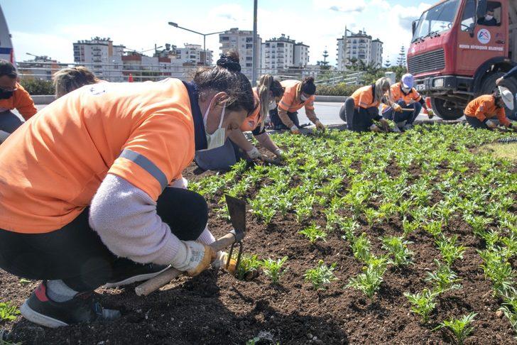 Mersin’in dört bir yanı çiçeklerle donatılıyor G3