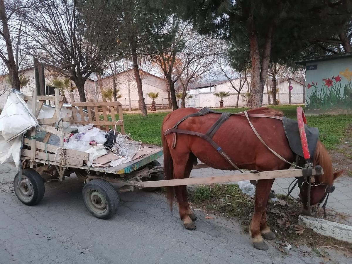Manisa&rsquo;da at arabaları trafikten men edildi