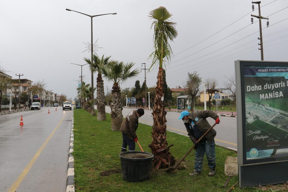 Devrilen ağa&ccedil;ların yerine yeni ağa&ccedil;lar dikiliyor