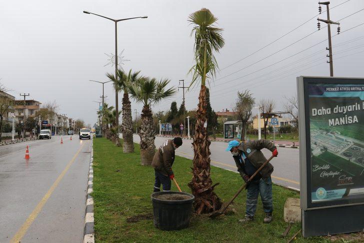Devrilen ağaçların yerine yeni ağaçlar dikiliyor G1
