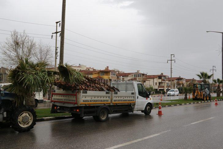 Devrilen ağaçların yerine yeni ağaçlar dikiliyor G5