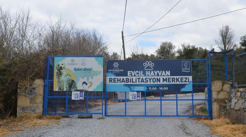 “Evcil Hayvan Rehabilitasyon Merkezi 10 gün içinde yeniden ziyarete açılacak