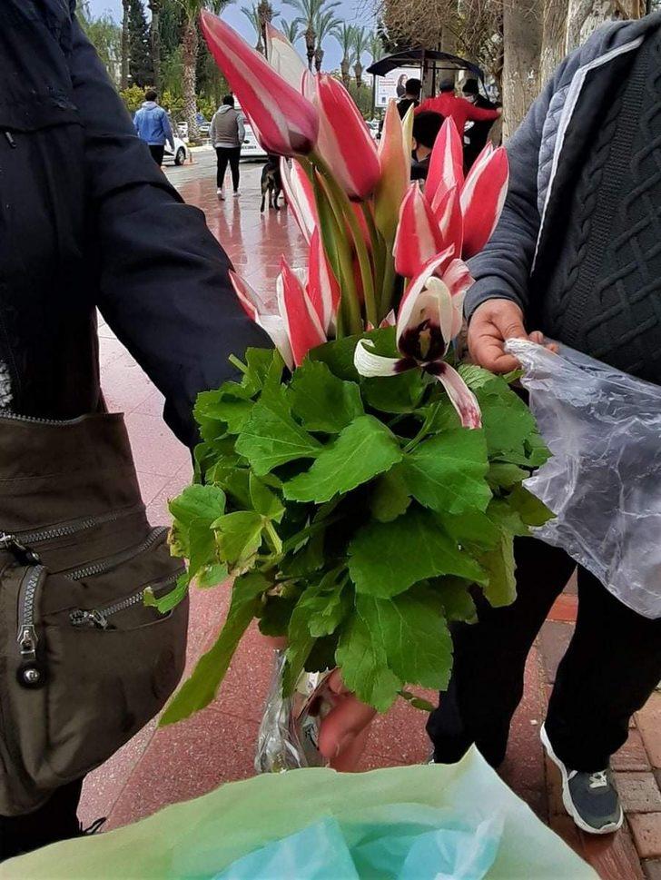 Osmanlı’nın kayıp lalesi Aydın’da bulundu G5