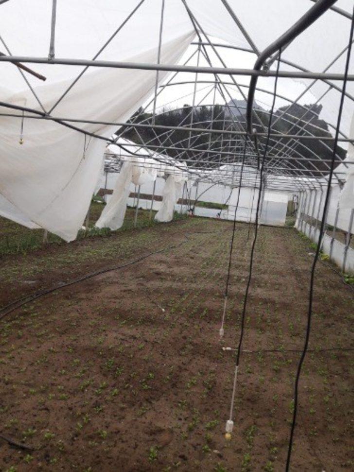 Mihalgazi’de kuvvetli rüzgar büyük hasara sebep oldu G2