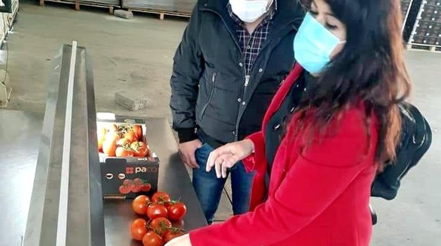 S&ouml;ke&rsquo;den 2021 yılının ilk &uuml;&ccedil; ayında 15 bin ton zirai &uuml;r&uuml;n&uuml;n ihracatı yapıldı