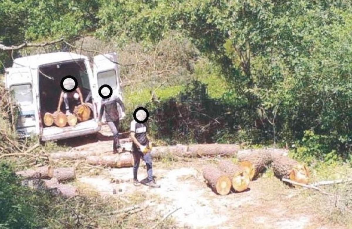 Bolu&rsquo;da ormanlar yapay zeka fotokapanlarla korunuyor