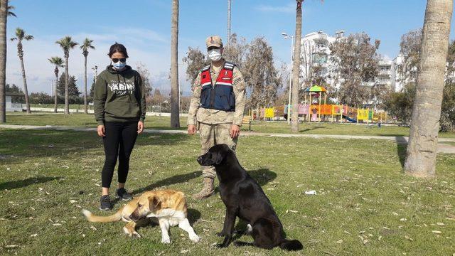 Jandarma sokak hayvanlarını unutmadı