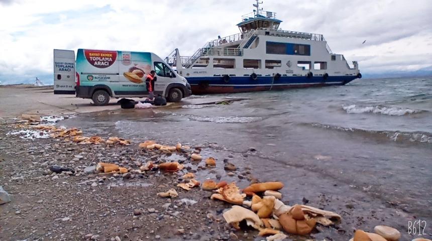 Malatya’da sokak hayvanları unutulmuyor