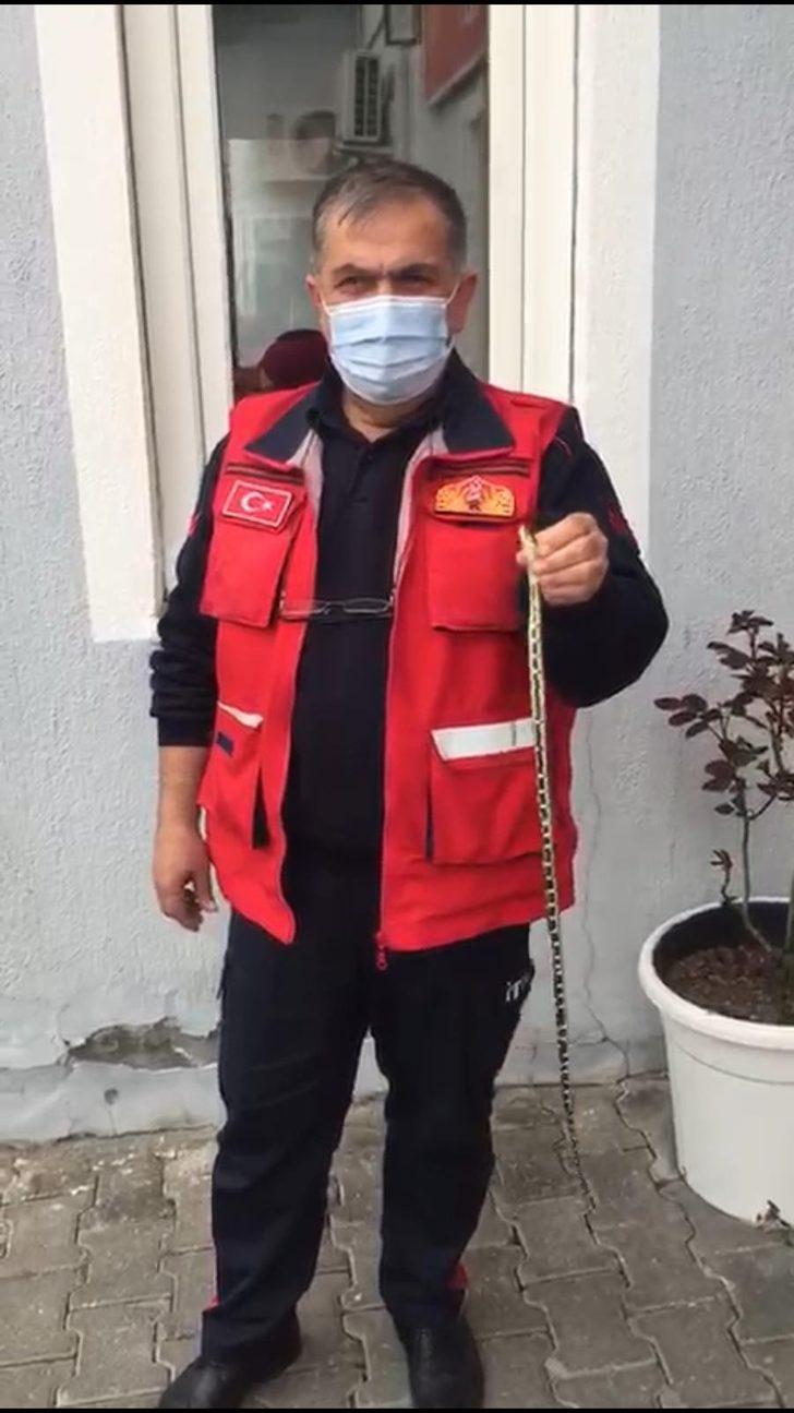 Isparta’da itfaiyeden yılan operasyonu G1