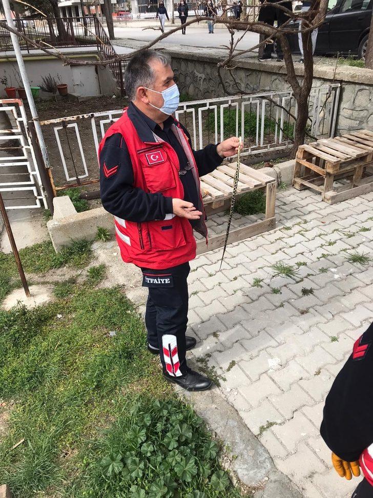 Isparta’da itfaiyeden yılan operasyonu G3