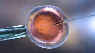 Tüp bebek yönteminde sperm ve embriyo kalitesi de sonucu etkiliyor!