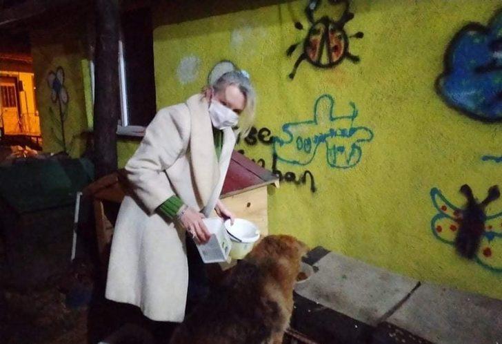 Sokak hayvanlarına bahçesinde bakıyor G3