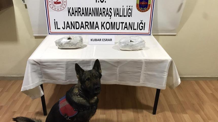 Yolcu otobüsünde uyuşturucu ile yakalanan 2 kişi gözaltına alındı