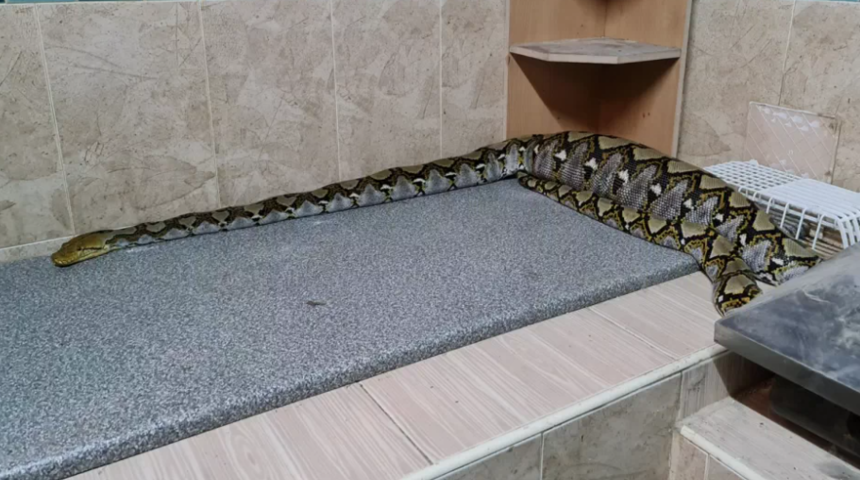 Y&uuml;rek burkan an... Her yerde arıyorlardı! Evin kullanılmayan odasında buldular