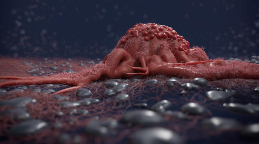 Pandemide yapılan en önemli hata! Bu davranışlar kanseri tetikliyor