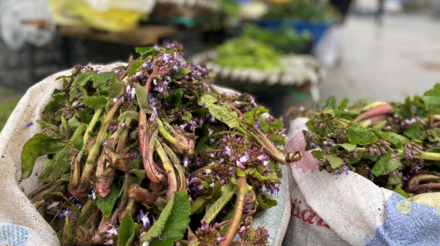 Sadece Mart ayında tezgaha geliyor! Şifa dağıtan kaldirik otu tezgahta yerini aldı