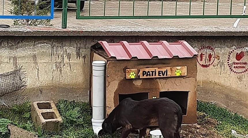 Hisarcık Şehitler Ortaokulu&rsquo;nda &ldquo;Pati Evi&rdquo; projesi