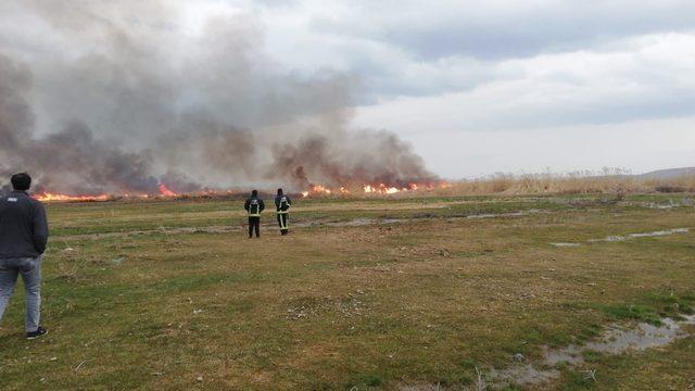 Sazlık alanda korkutan yangın