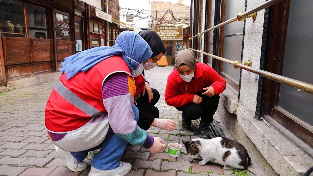 Safranbolu&rsquo;dan Gen&ccedil; Kızılay faaliyete başladı