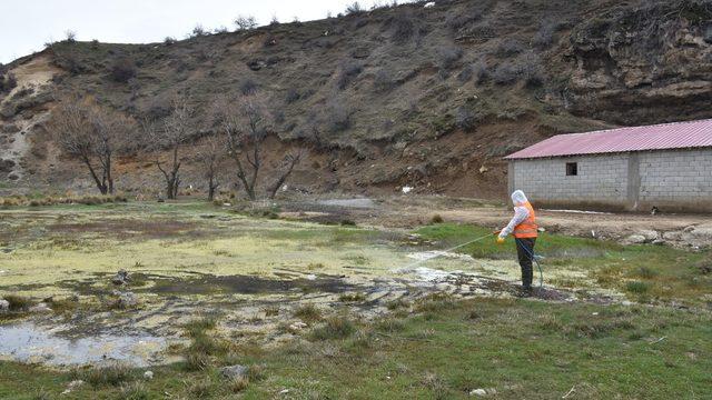 Tatvan’daki park ve yeşil alanlarda lavra ilaçlama çalışması