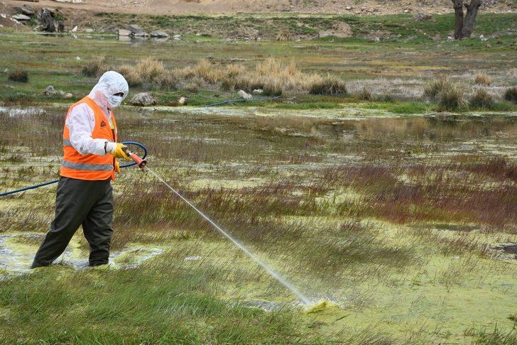 Tatvan’daki park ve yeşil alanlarda lavra ilaçlama çalışması G2