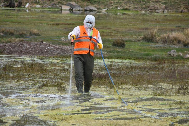 Tatvan’daki park ve yeşil alanlarda lavra ilaçlama çalışması G4