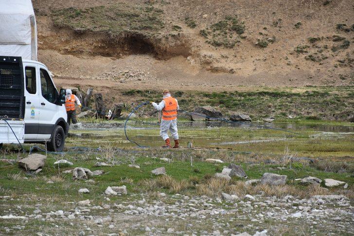 Tatvan’daki park ve yeşil alanlarda lavra ilaçlama çalışması G5