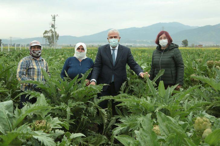 Başkan Atay, enginar hasadına katıldı G2