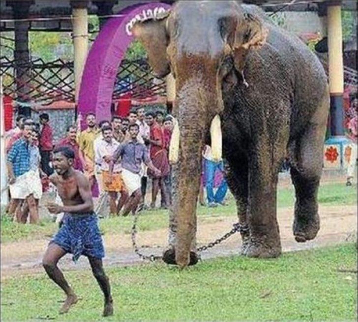 Saniyeler sonra olanlar şaşırttı  G1