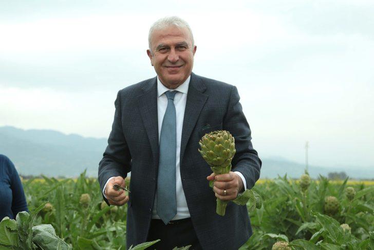 Başkan Atay, enginar hasadına katıldı G4