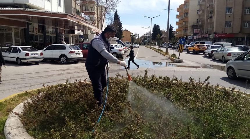 Parklarda haşere mücadelesi