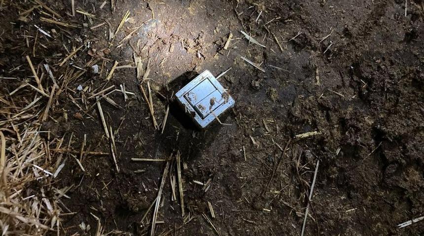 Elektrik kablosunu kemiren 7 b&uuml;y&uuml;kbaş hayvan telef oldu