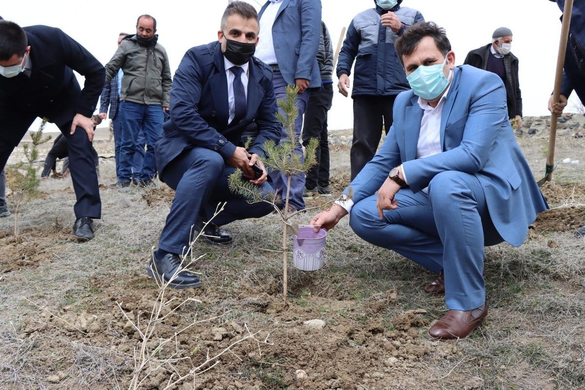 &Ccedil;at&rsquo;ta Yavi Şehitleri i&ccedil;in 33 fidan dikildi