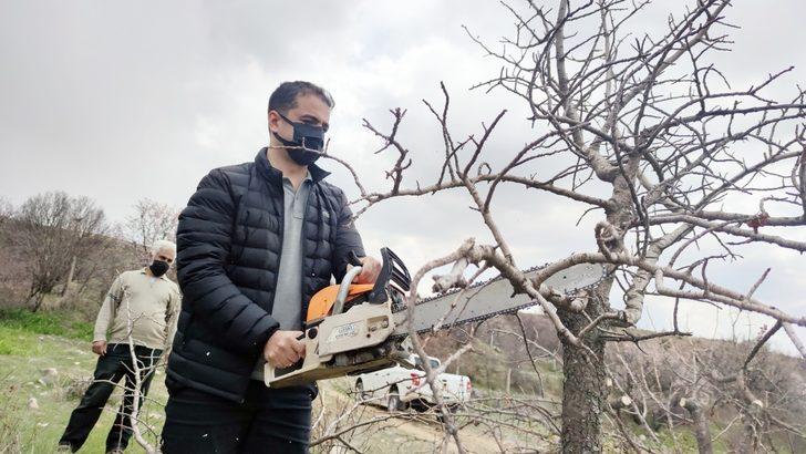İlçeye katma değer, 24 bin yabani menengiç ağacında Antep fıstığı yetişecek G1