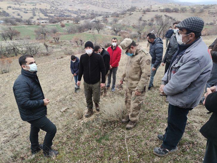 İlçeye katma değer, 24 bin yabani menengiç ağacında Antep fıstığı yetişecek G3