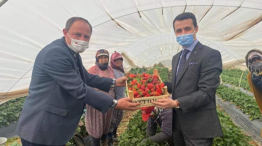 Kaymakam Alpay &ccedil;ilek &uuml;reticilerine bereketli sezon dileğinde bulundu