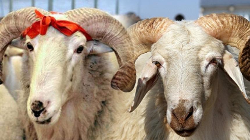 Kurban bayramı 2021 ne zaman başlayacak? İşte 2021 Kurban bayramı tarihi