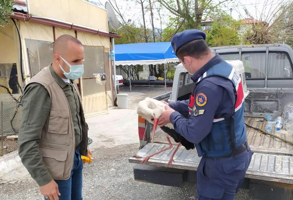 Yaralı Leyleğin yardımına Jandarma yetişti