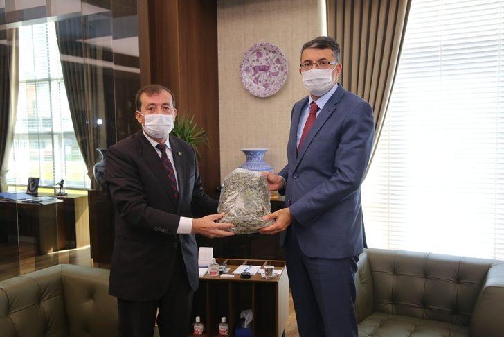 Hisarcık’ta üretilen adaçayını kooperatif pazarlayacak G1