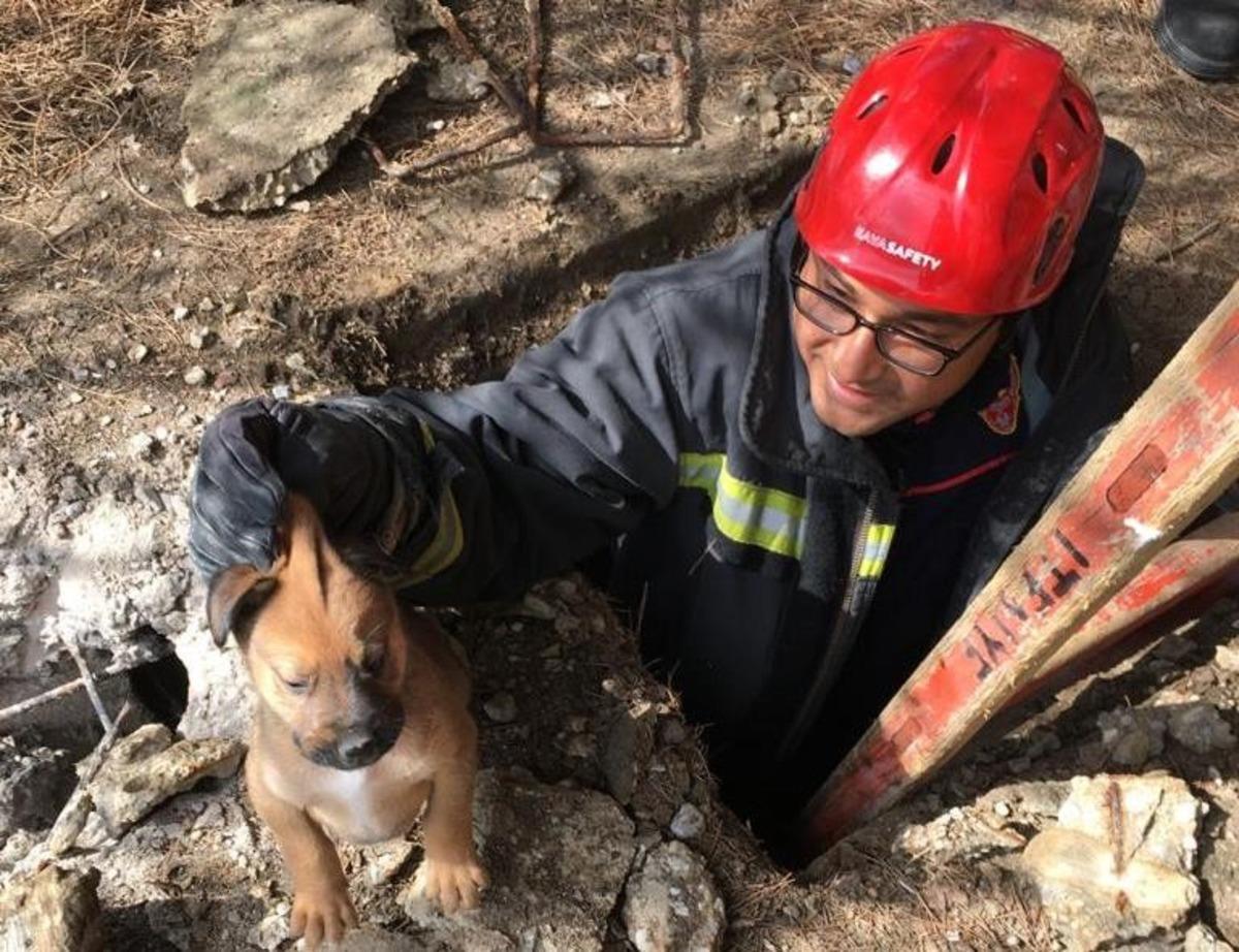 Manisa itfaiyesi hayvanların yardımına koştu