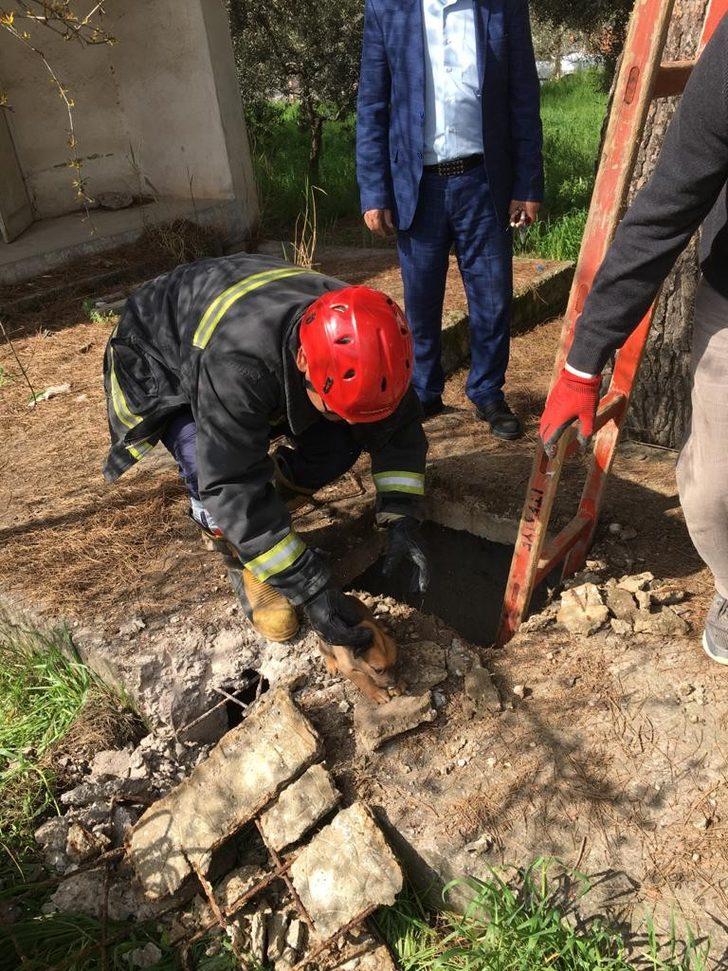 Manisa itfaiyesi hayvanların yardımına koştu G2