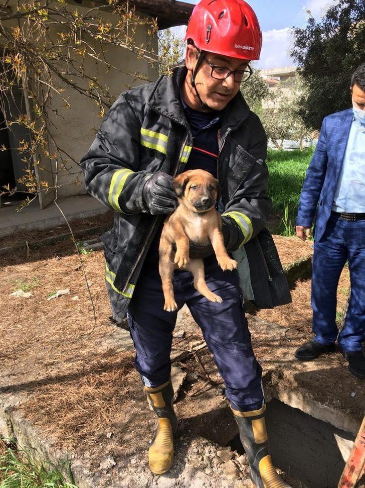 Manisa itfaiyesi hayvanların yardımına koştu G3