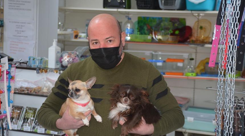 Sinop&rsquo;ta pandemide sahiplenmeye ilgi arttı