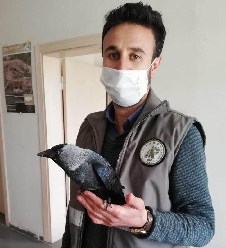 Yaralı kuşlar tedavi altına alındı G4