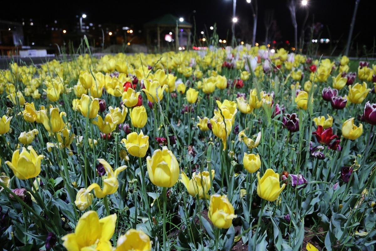 Haliliye&rsquo;de parklar bahara hazırlanıyor