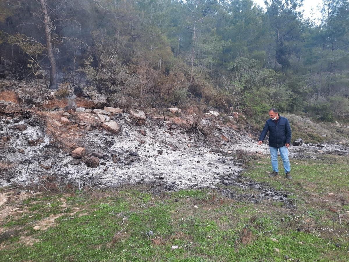 Bah&ccedil;e temizliği sonrası yakılan ateş hem ormanı hem kaplumbağayı yaktı