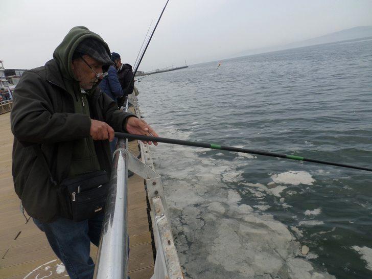 Sahilde korkutan manzara G2