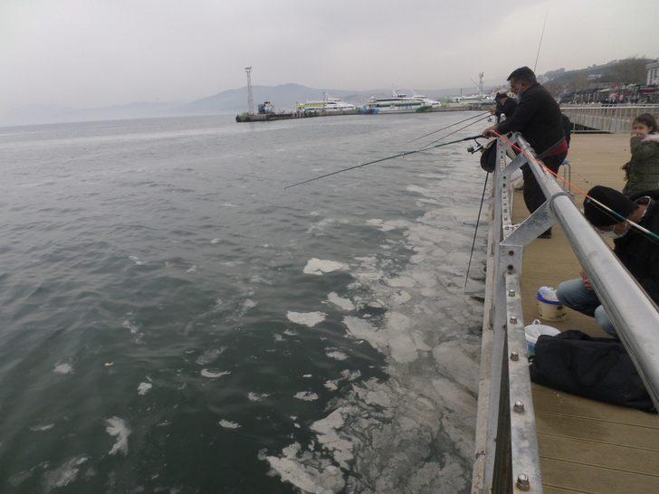 Sahilde korkutan manzara G3